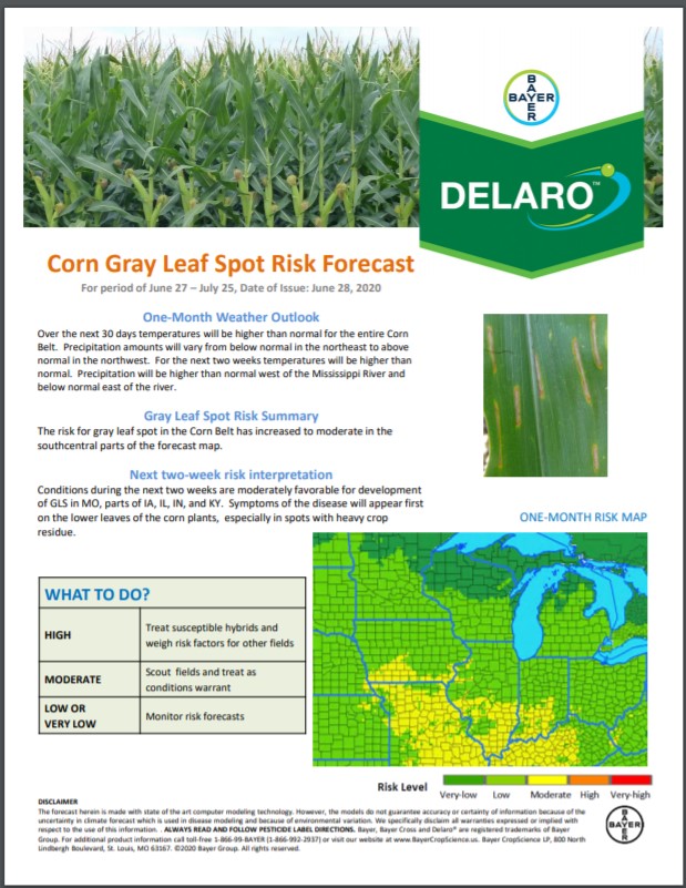 6/28 Northern Corn Disease Risk Map