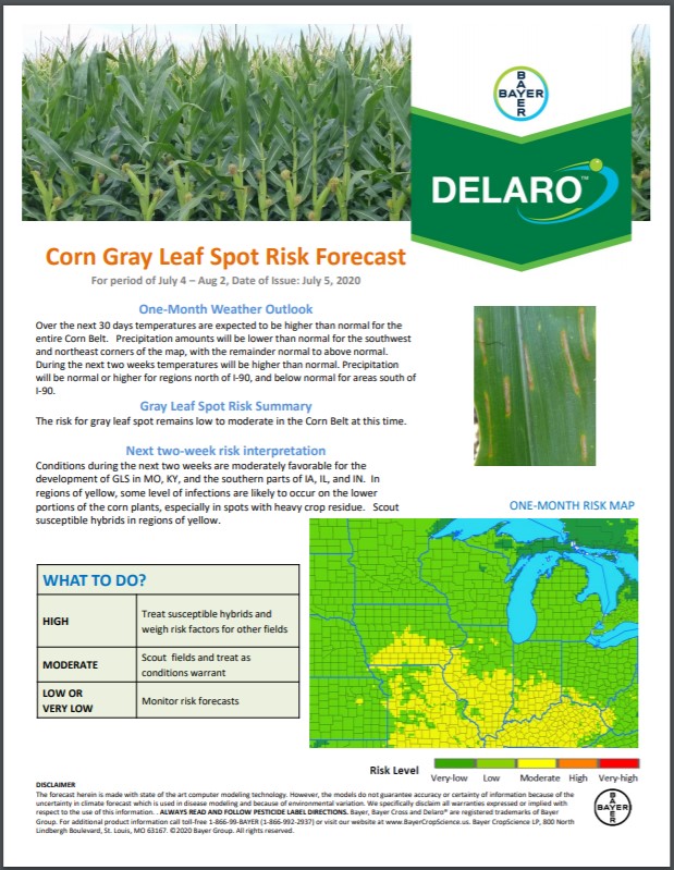 7/5 Northern Corn Disease Risk Map