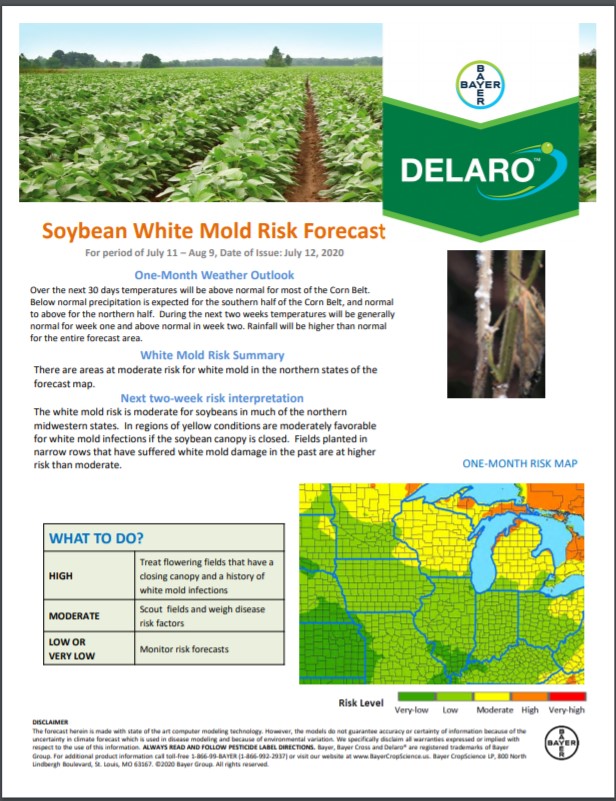 7/12 Northern Soybean Disease Risk Map