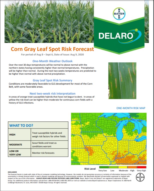 8/9 Northern Corn Disease Risk Map