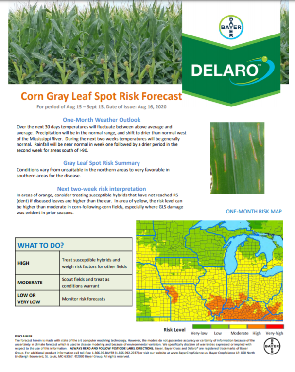 8/16 Northern Corn Disease Risk Map