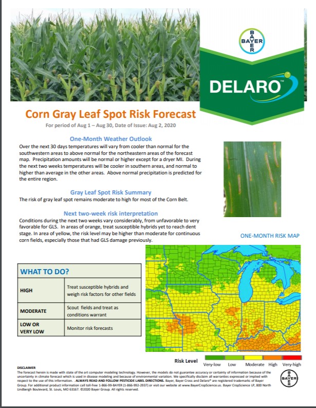 8/2 Northern Corn Disease Risk Map