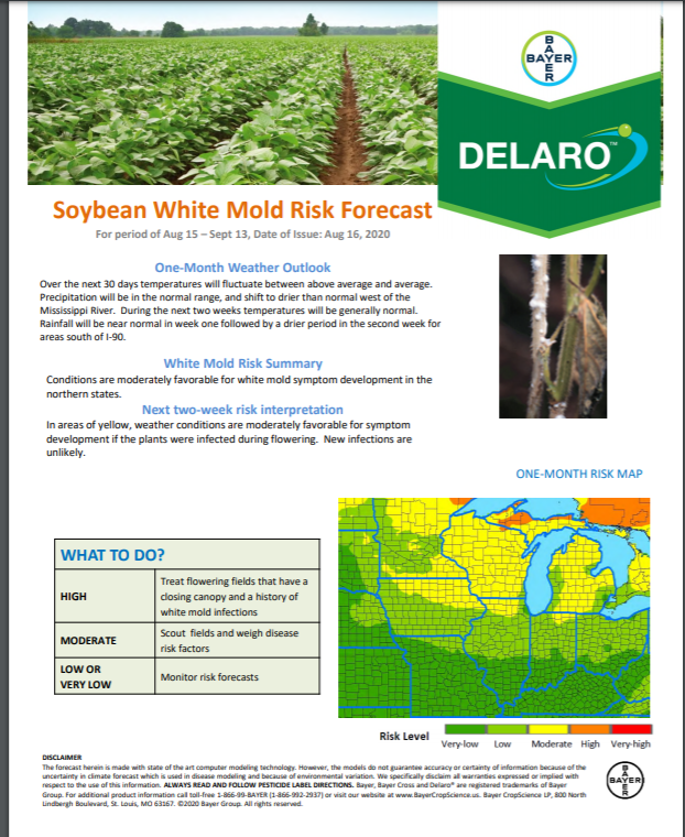 8/16 Northern Soy Disease Risk Map