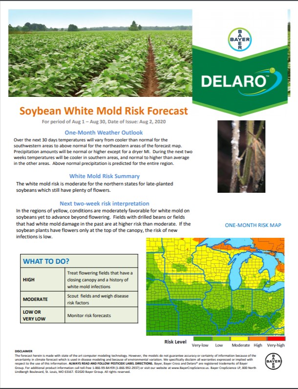 8/2 Northern Soy Disease Risk Map